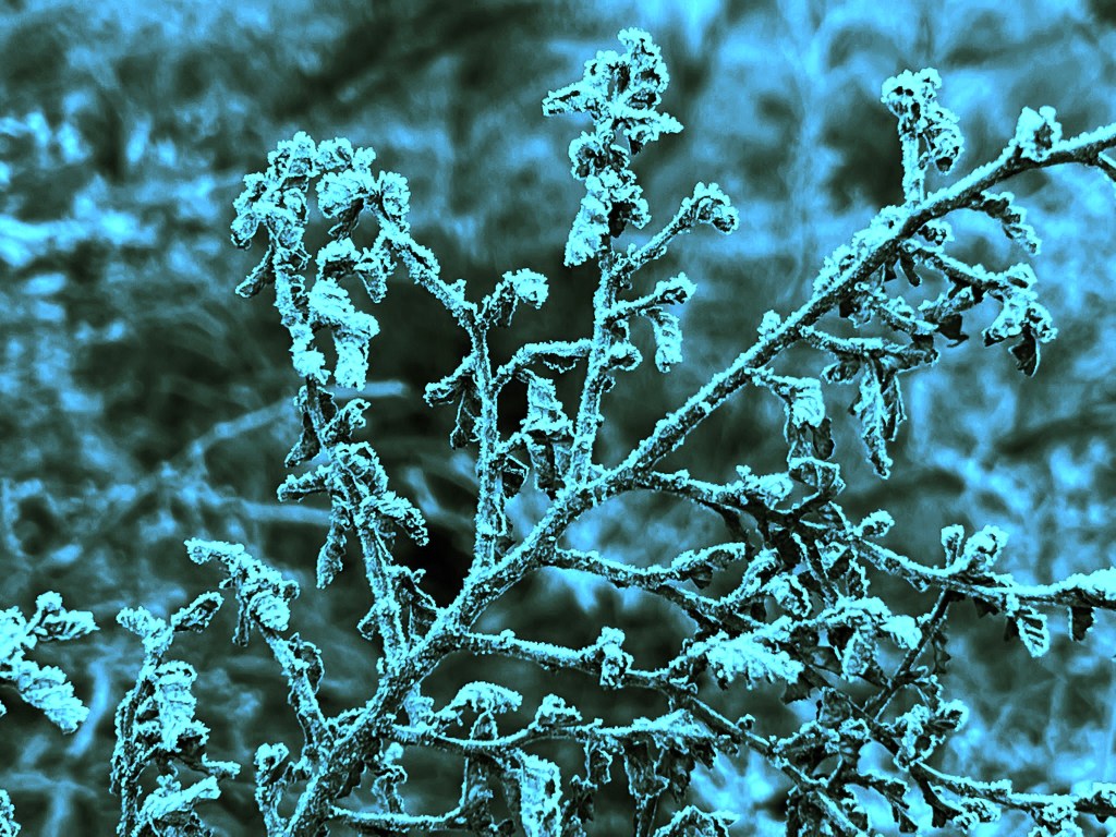 The Art of Doing Nothing: An Unfiltered Vipassana&nbsp;Story